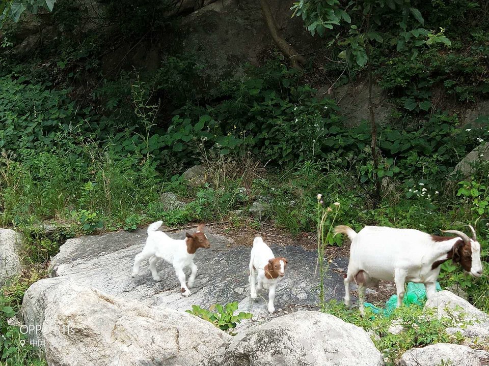 LnjaR6SAbHOOo6rL1JI3vwk2iOcZh4E4M1CDhTacolFmrCmz8nOupIW3gGm9Ve2z