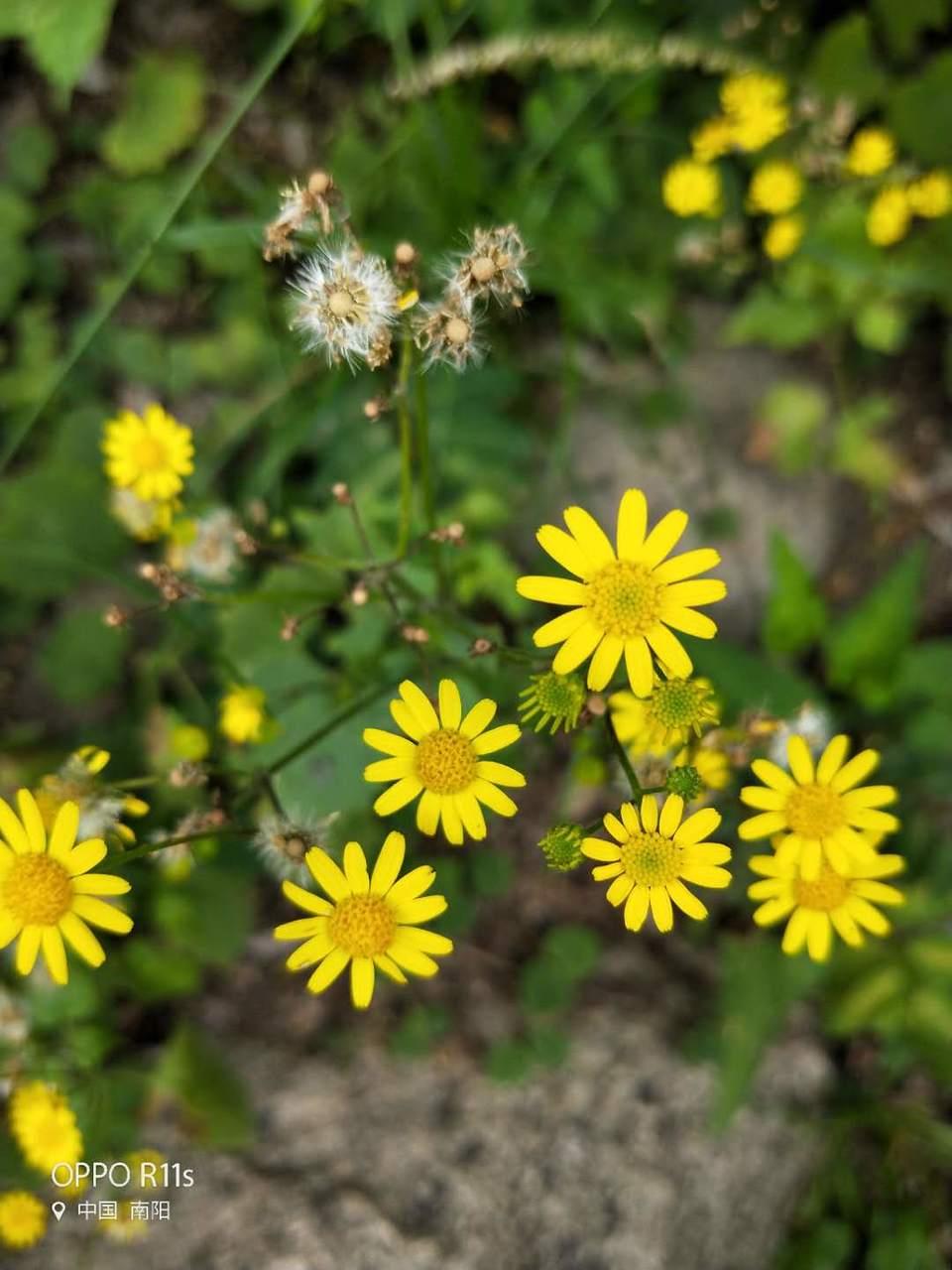 9dm3hhcQeoyODkOZA52rBWrEQIvpLTjmpeGPXnGD_1MMdlpaiR-GAIpd3lVvy-hA