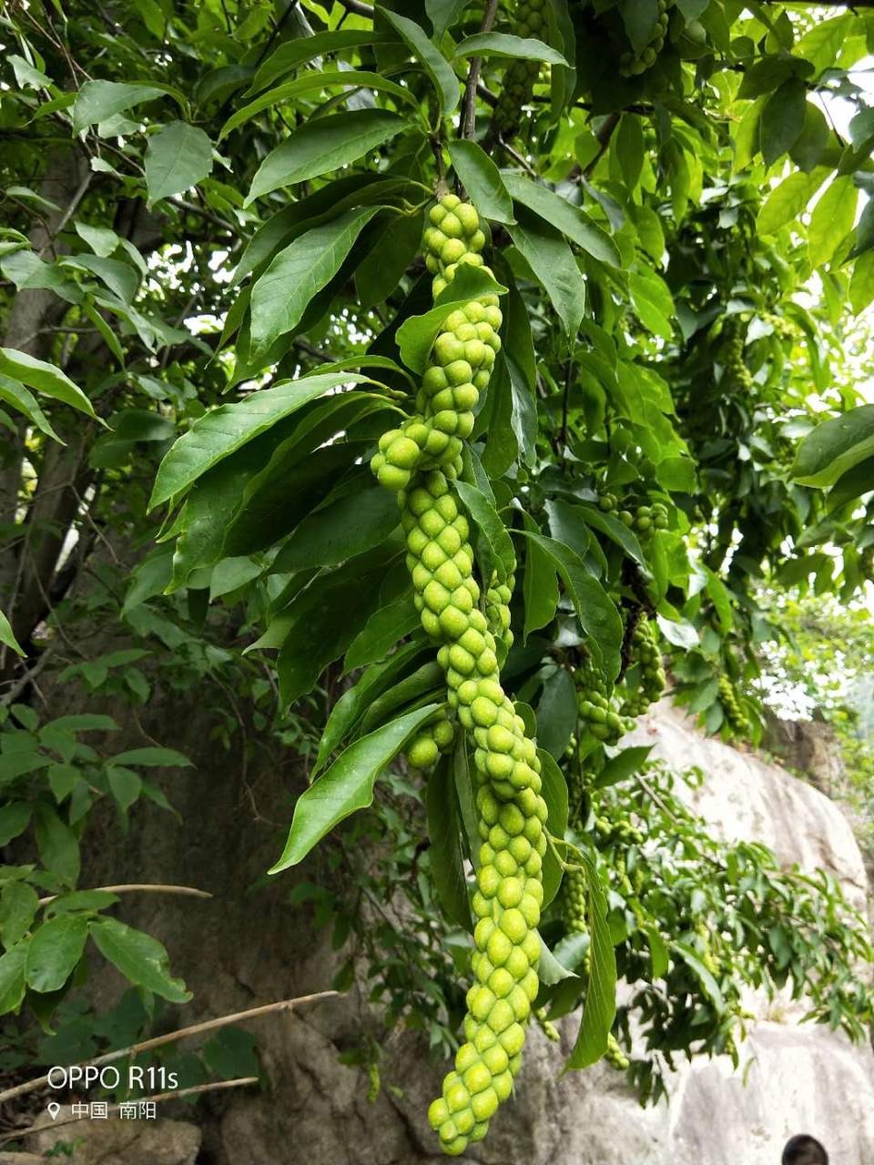 kil6xt6Gvzotg3QDlXbNUvUnO7ZdrhQ5GkPF-2QxDgrFI5sp9tE_5OnD7hrwMFvN