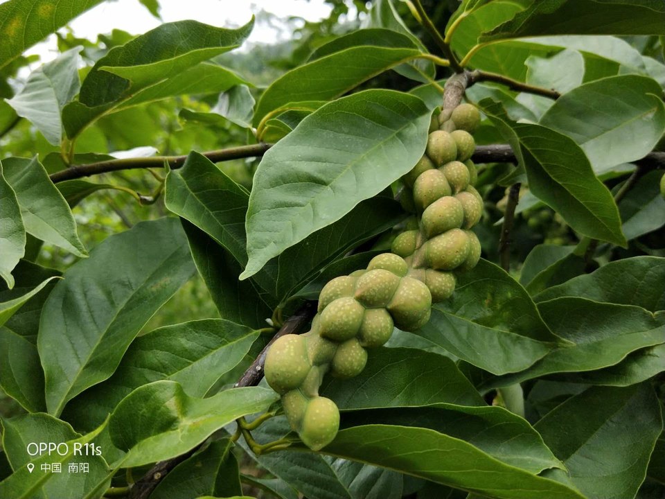 SBynKZOQdgKOba1YuTHn-R3Sxax7WBmCR_tyiMCflKdKvSF_NivSYBb1pPbJTSvT