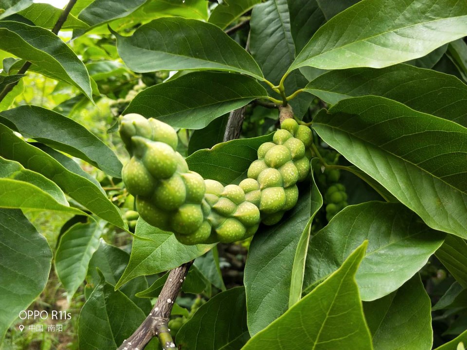 y8OVyMj8GU5kQwfrD93Nm18Kn_pm_eUroPyaiyy3Ki9lSceASDU9EM26MRcStvQe