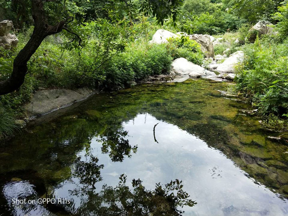 1JGpjGQTjEfimeGYluJlBnn1cp8LJVFzqgPrbh89q-TgG8biZWNpGgLlrSll15ym