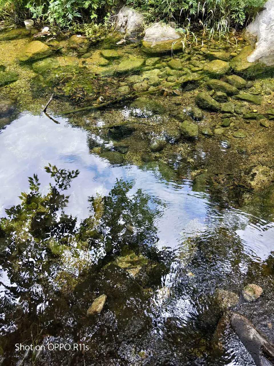 xPfxHMsQWaxThHrgkGJilbbpcCvSQwYV95yV0E9ZRY5qIRO3bIKSvqZFyDRhr-fZ