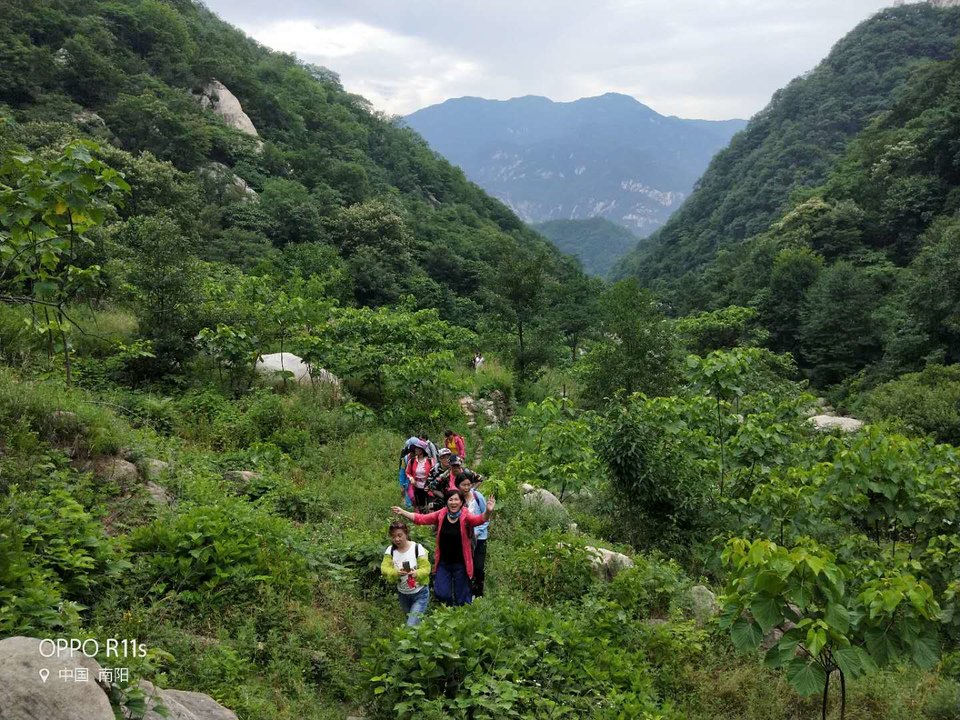 52XjrENyoDPh-Xdbh_y0IDXI3zoO0FQxBdxclDACs5R30foDd-8kk_mcXiYrRiGL