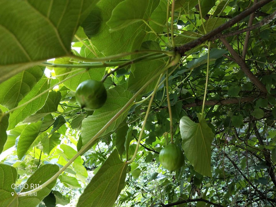 YA91nvEEJDyb_Y7teIicR9Dw7_P_mQsMvS_JeY2mtKHpnyVIPEzxxfqXmMSvpix2