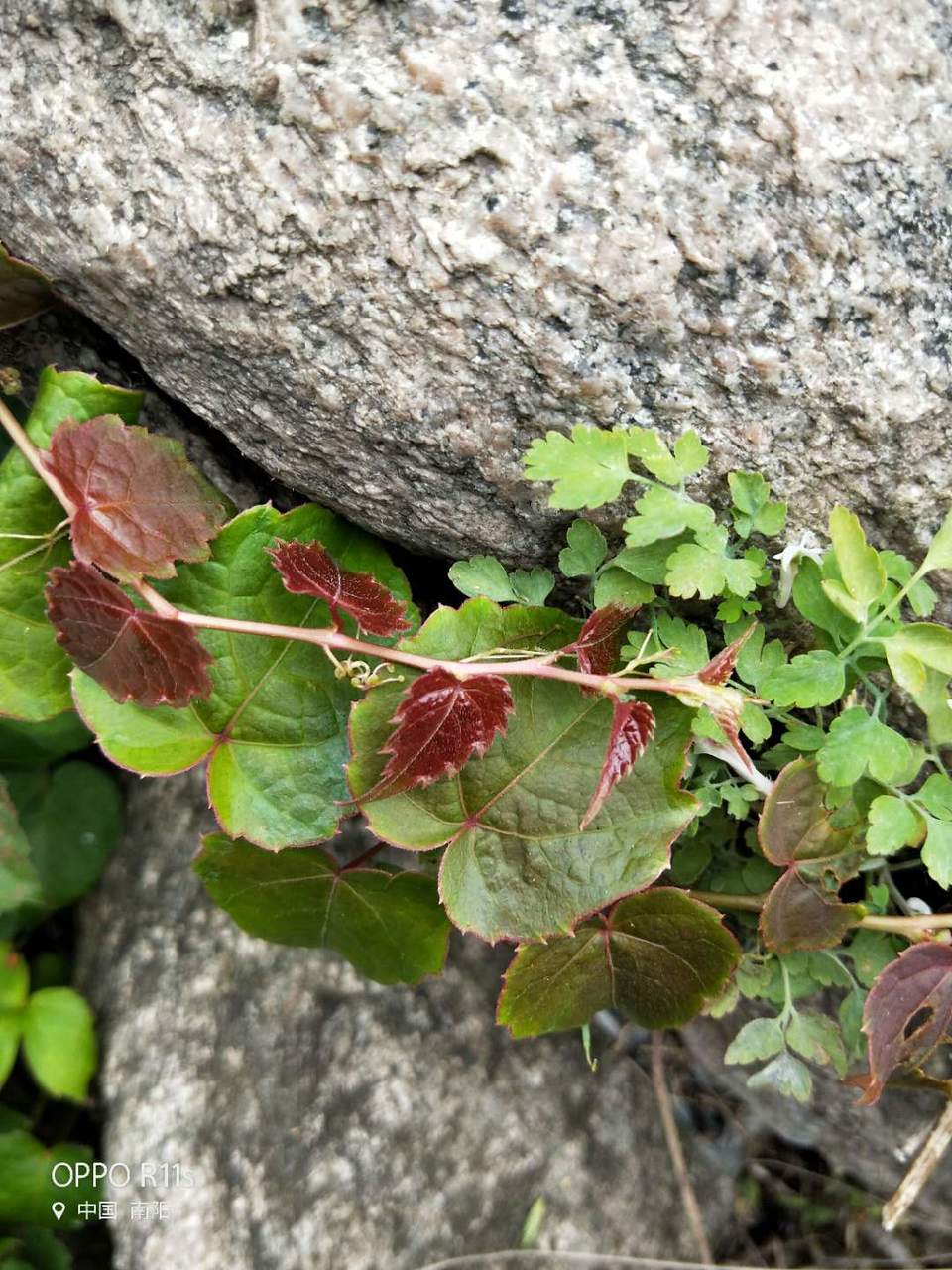 2xOSwrinmovexwkTmK6943I-A2-suXybC_2D0VkWwnaqTi9rfEIXDQUCCI4HtvsO