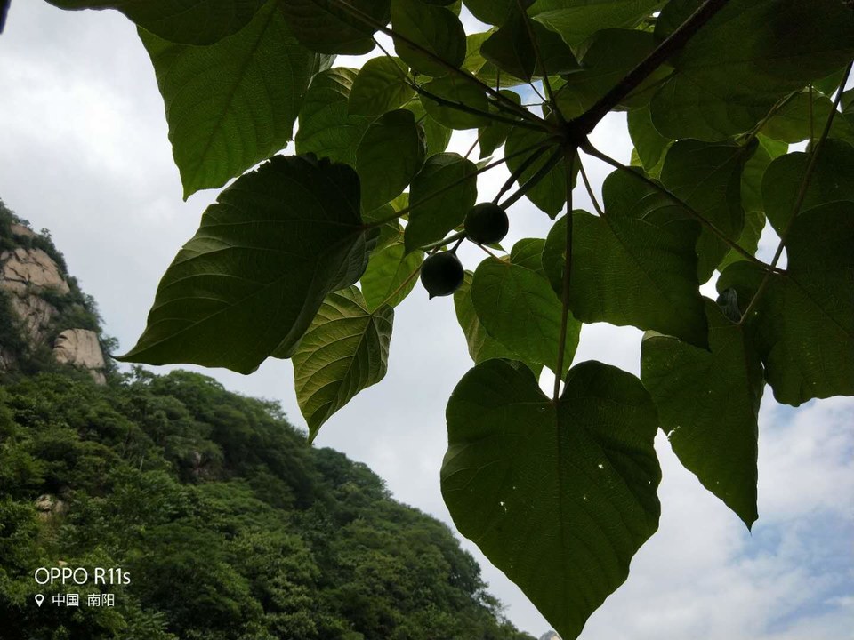 cP5LUbCVwAdbcQfcHTG1s46gakk5baPoaEtQFHfj7vOqNuzbpgGknVs3JGBajnBT