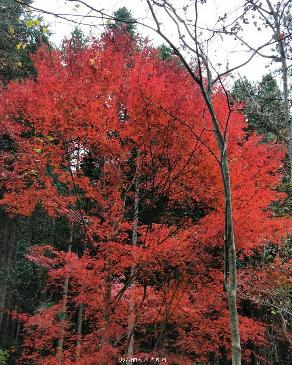 GRIDd16bJ6YM7r_hI__U01MuSLA7w1CD7C7paKBENyGvbDziiJw-1jBQVjQxeDNq