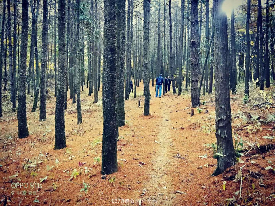 8CwQybuZ0RM6aw22ngj7jilvC20QYb-2bDKhTyYPnZkhwwERBtbvRAHL3m-SIpgW