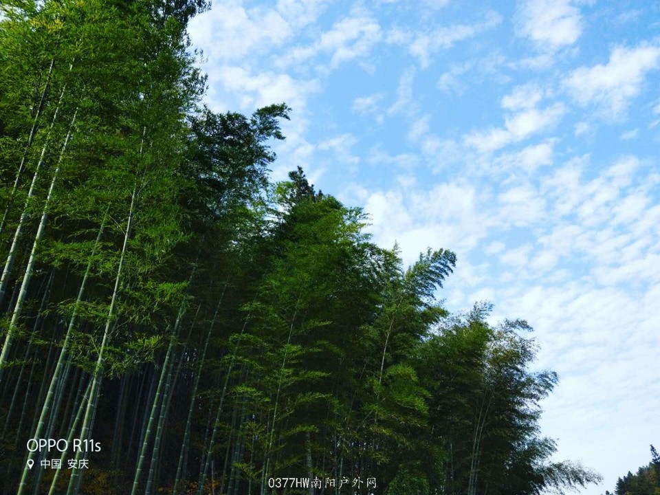 IvK1xezPT60g0phVfwgfQZ9jHulnIHRoLqel3UWZdOtSPGIV0_iStRDXdf8gTfIH