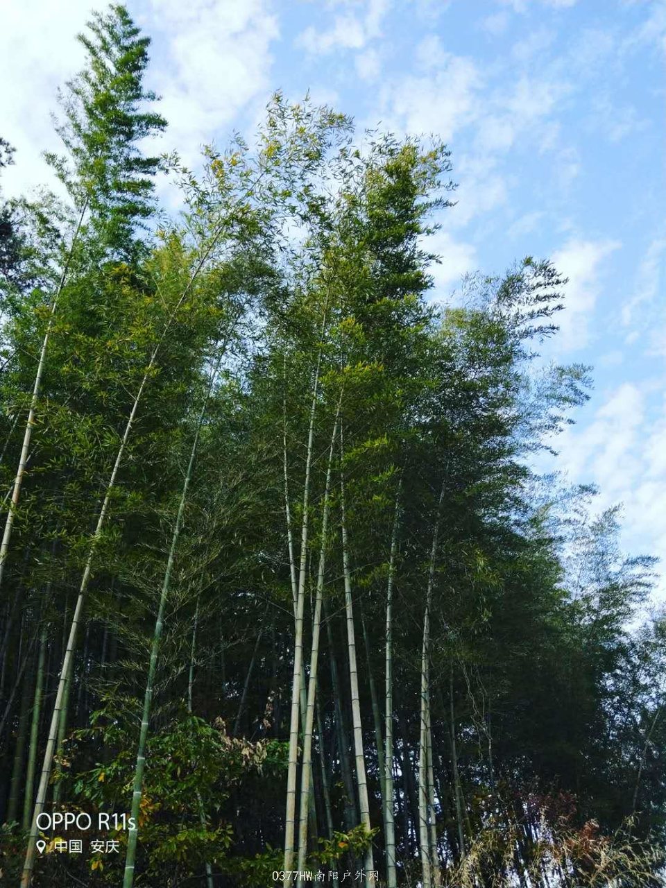 hd7JYM6-gA4tqurnBJg819dGIYXH4AqWFFSxhEWyfY3GhgymmhR5yED8ZVyOXFEO