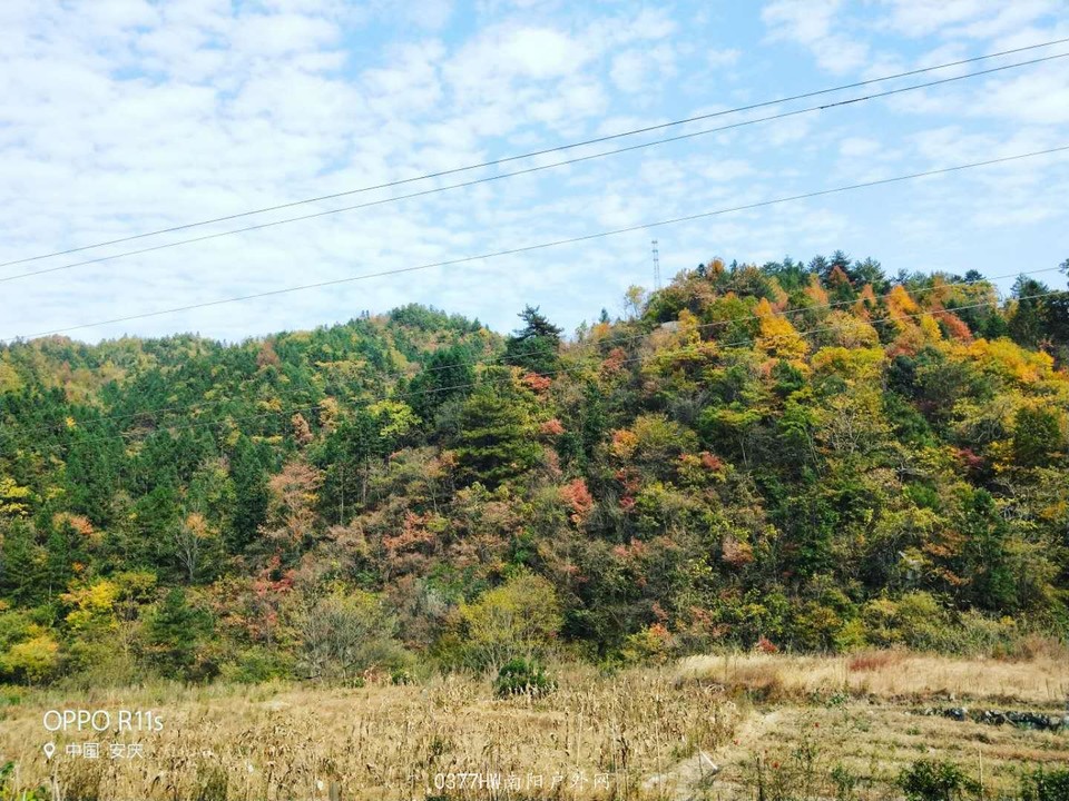 o7OTXUSEyeFntIh06k6upqJrXOvM9Z8wR3gJFSJdI66ZDdMM8nLHJu_MpYvHrMB-