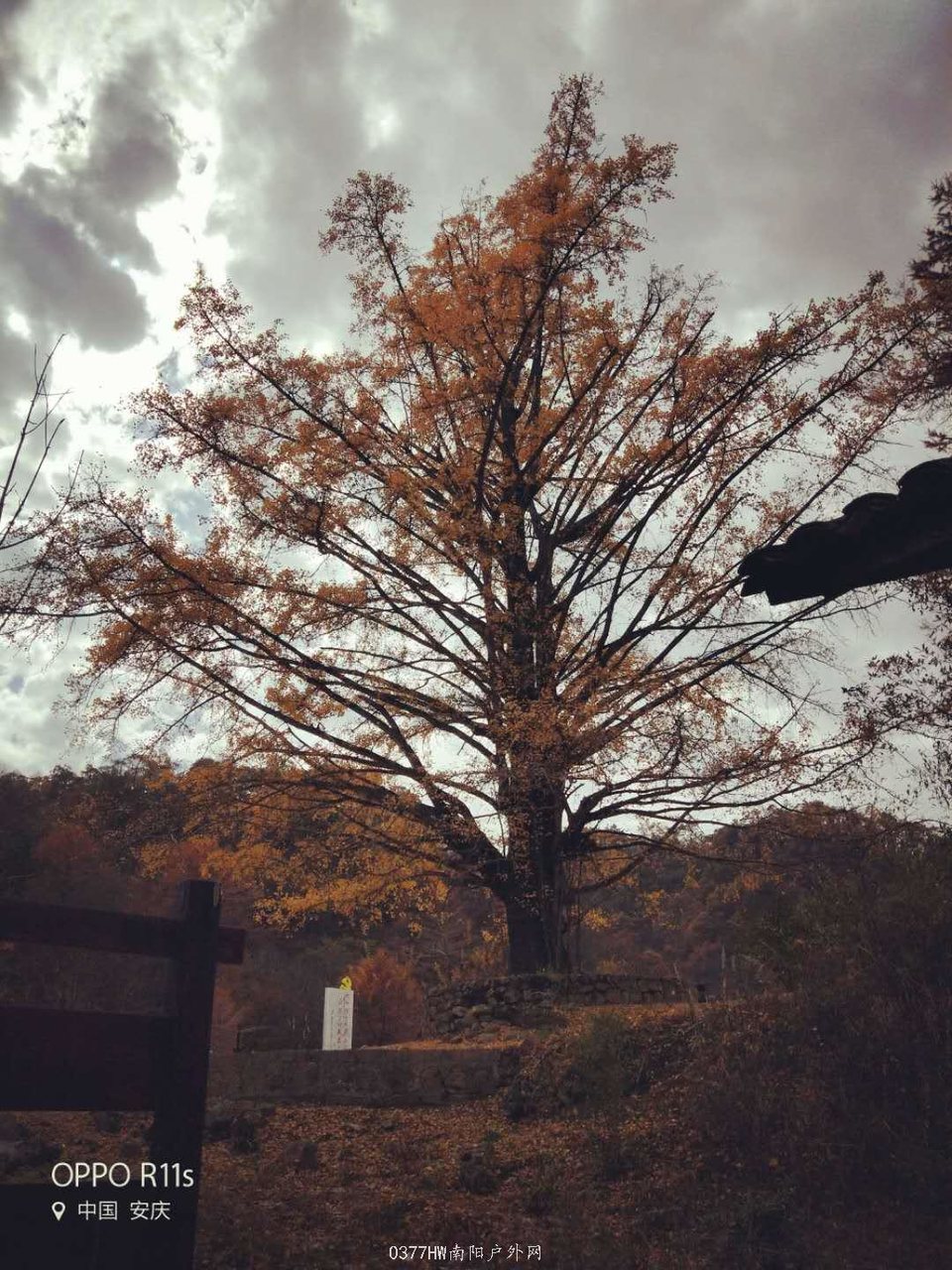 1MtI_B3r-yQ2CHrEKzXlzPwe6rXGSiiQJuLeqoG2Mdnr50Yg9KMRjAHX5QIlMzzT