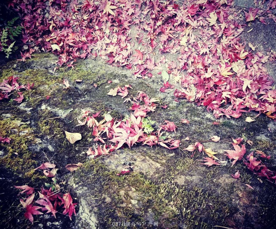 H9ZjvIjHc5fP51lYbdtKUKWMoIAv1GQIeYQVDl1qlU3NRF6oS3rNidX3gdE0dfoW