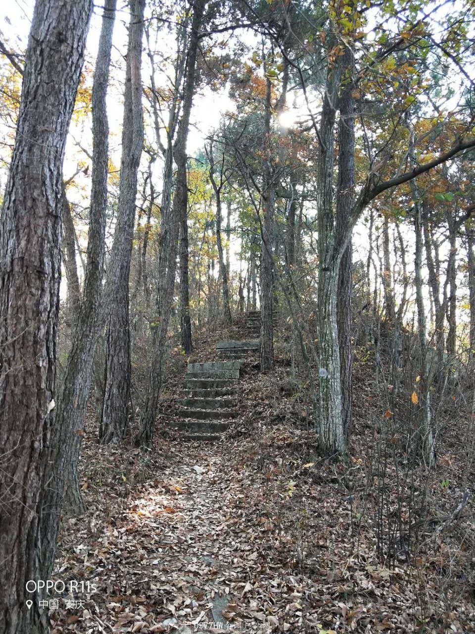 xTZhPRN8OAIFBb6yev0WCyw5tklfGOnUKqb3QPXXXyytR_oICmMM6iI0oNv8tAO7