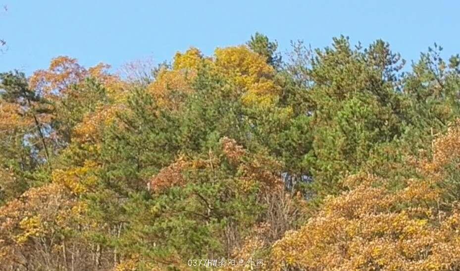 bzGeV4AGmgWJ1C8pnwDmYcavOzFab8y1o4oRZv1YK_nMqekK8iS6T9FjMIaR-e-W