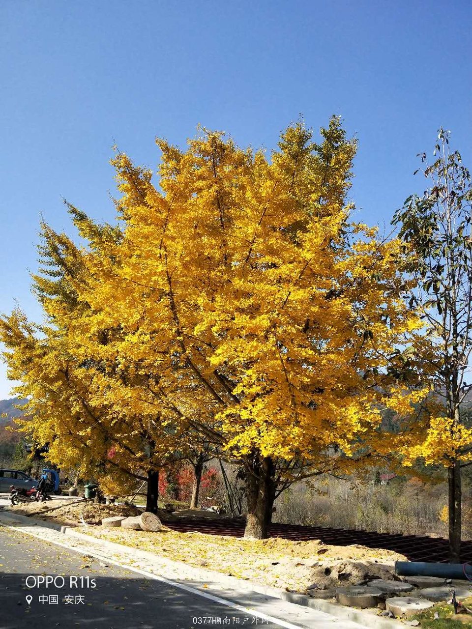 VVTauYCmY5YC8OA7KtH91Nh7UDxHD0oKdNh42KzsYZbqknzLNoVP6kXalmoC5141