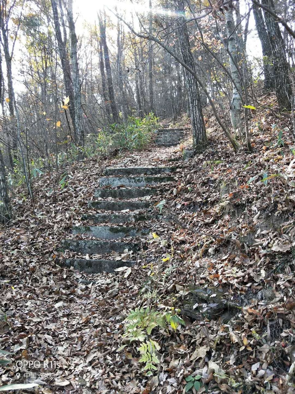 hlhTu7x-rZu_KY1__x1omaHTVwhjgVp3tBadwhKSujMJ98KXMeLBQKTEJGBQhNBU