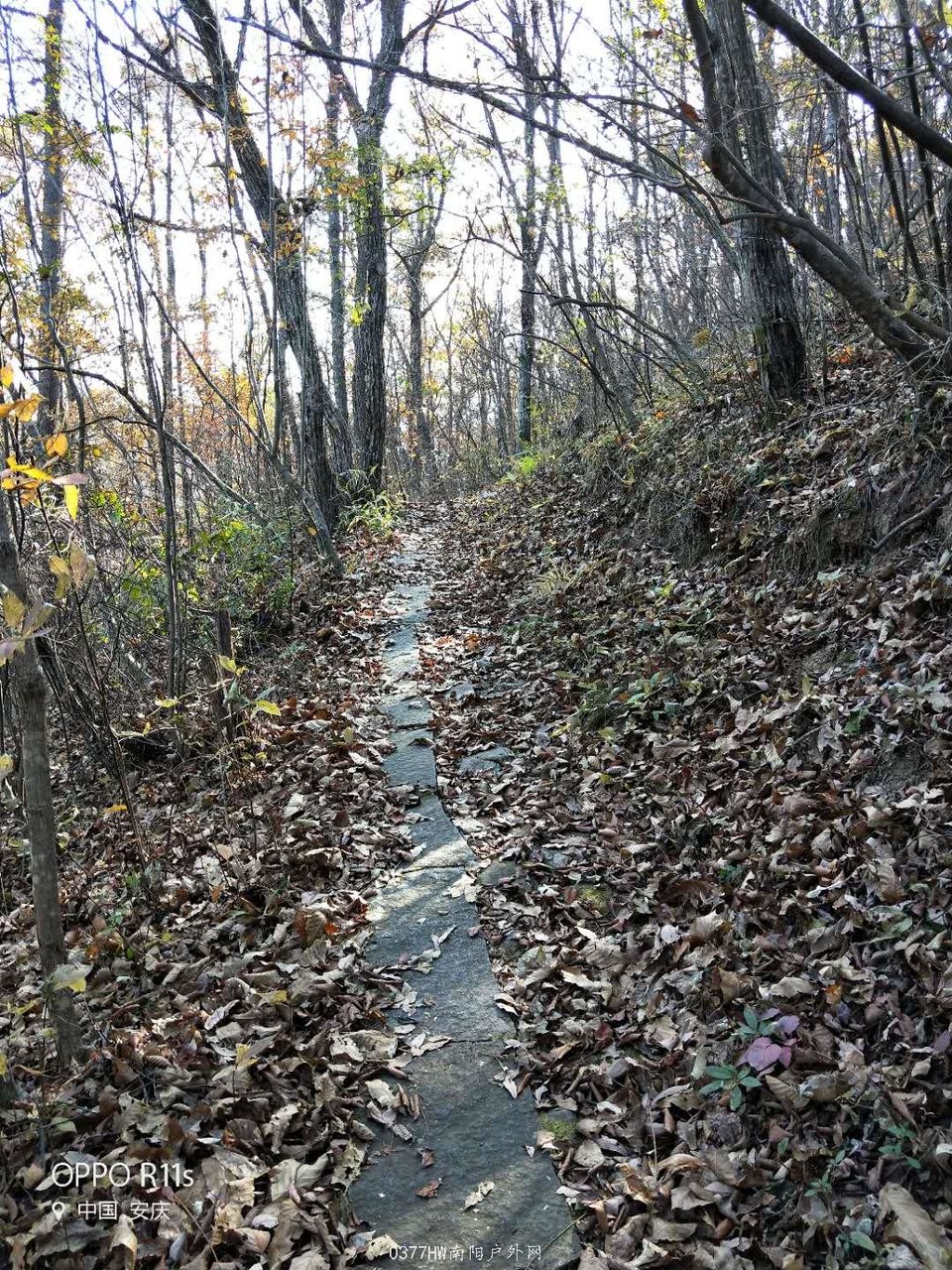 GYTk09VLnJhXc2FyZPffCHv0w0VY8u3DIuvvEsToov8w_oHsBzOemqhRpZ8e8Bay