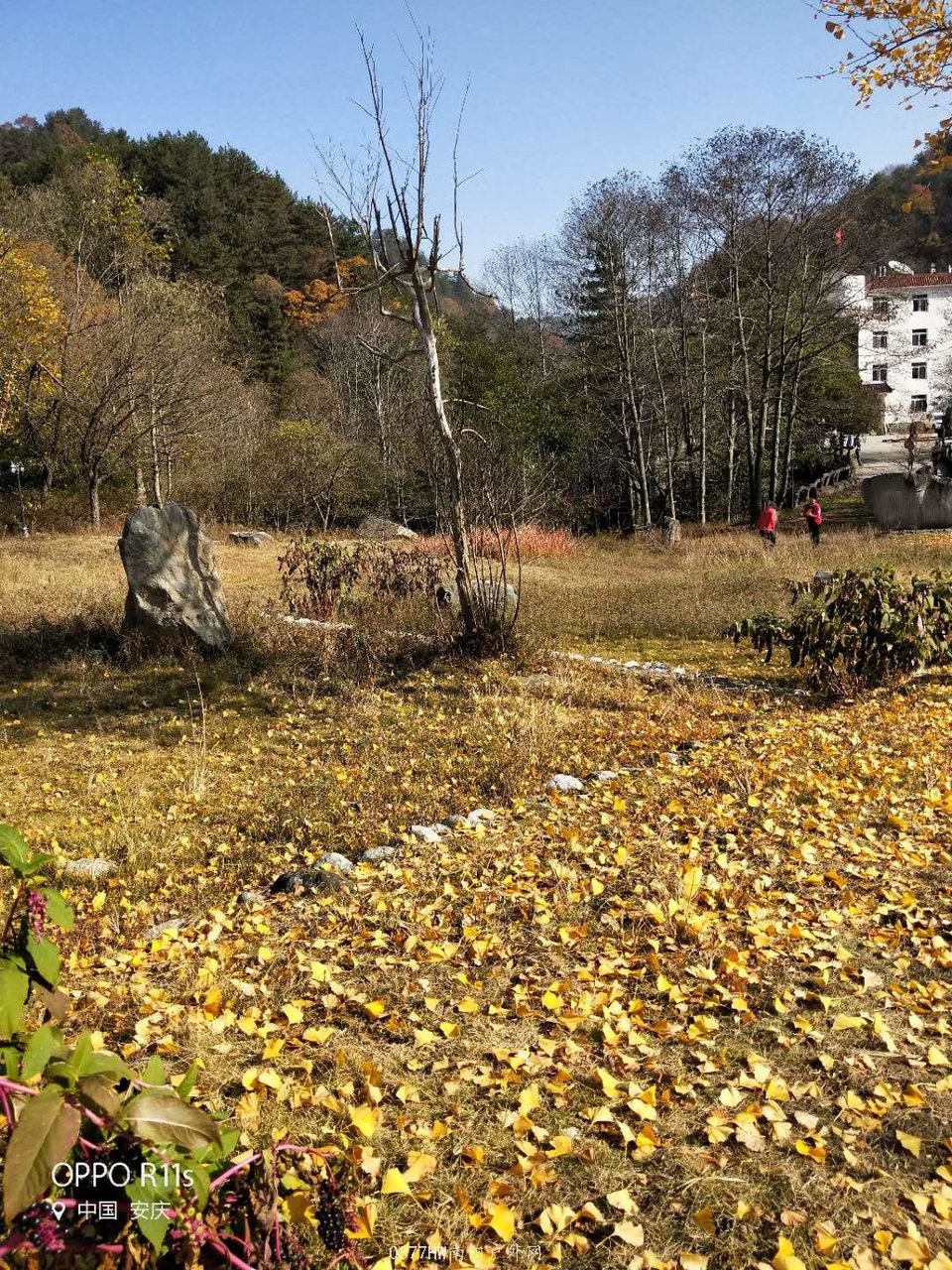 4JmaR3UU7x1agTkqLjXoBxv8sutWpZ-xJrqJEsWIGDfULaW06FDiGkkgDiar5McL