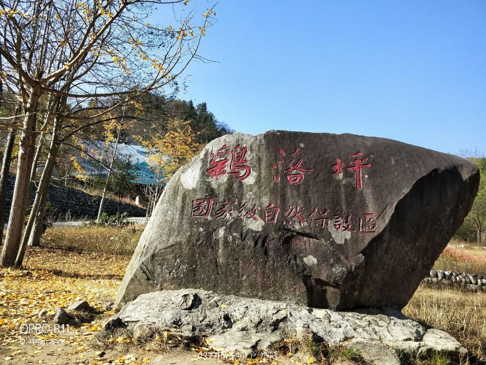 lyDeWsFw6fx-4WqsUOZsXb_W_WMDutFCBdHUX-29Wdu8GUdaIJospLGlUW1EpMxY