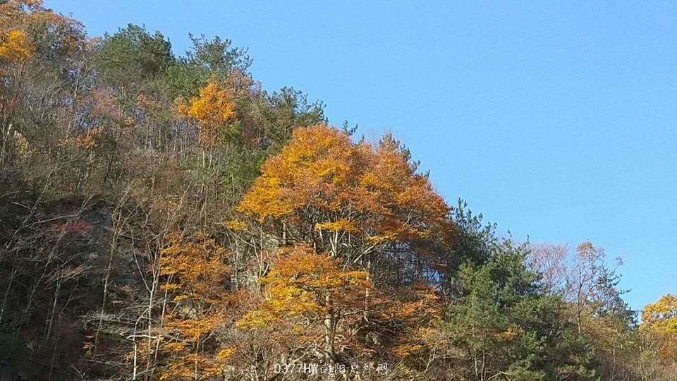 BaGOpRNjpb0ZK2-N8NMFZvhuL2XPjJ_BJPBdWQkf0-tLqd4f1ePLH7_6HI68G7D2