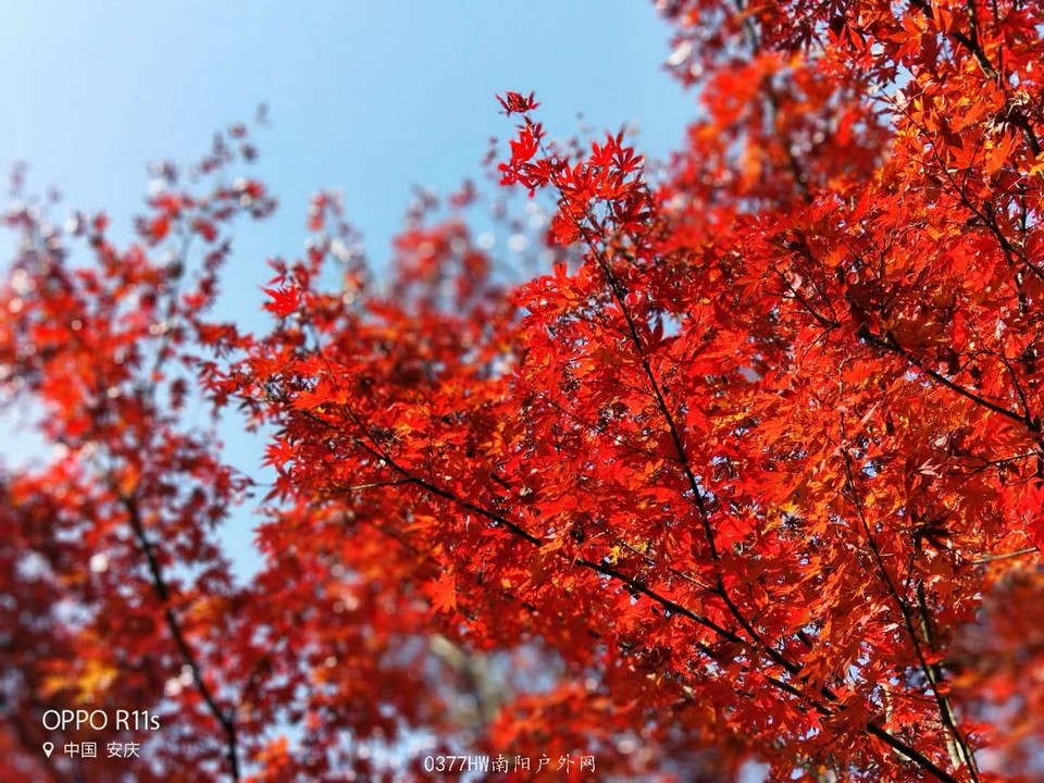 d-fa0vCfLCDjb_8US3IIYycCzxtq8fM3DSPO4gPopqdc-Ul2xD0FRjQBSZecE7ey