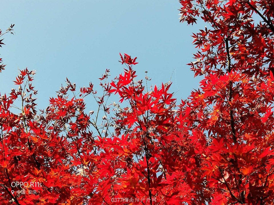 XtuRCn0pWhj7lte8Z6AVGV3aXd7UiKDhb9yfTqxYhTot9gp3IWQKKT2BMQcSwknk