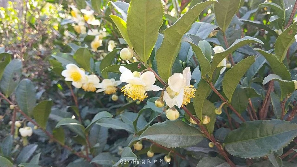 rw5i36Hlr-tAhYHaK3fxUVOI0StEVCojDFuLhiQxFVRaqxqRy0Jp83ar1nf1vnQY