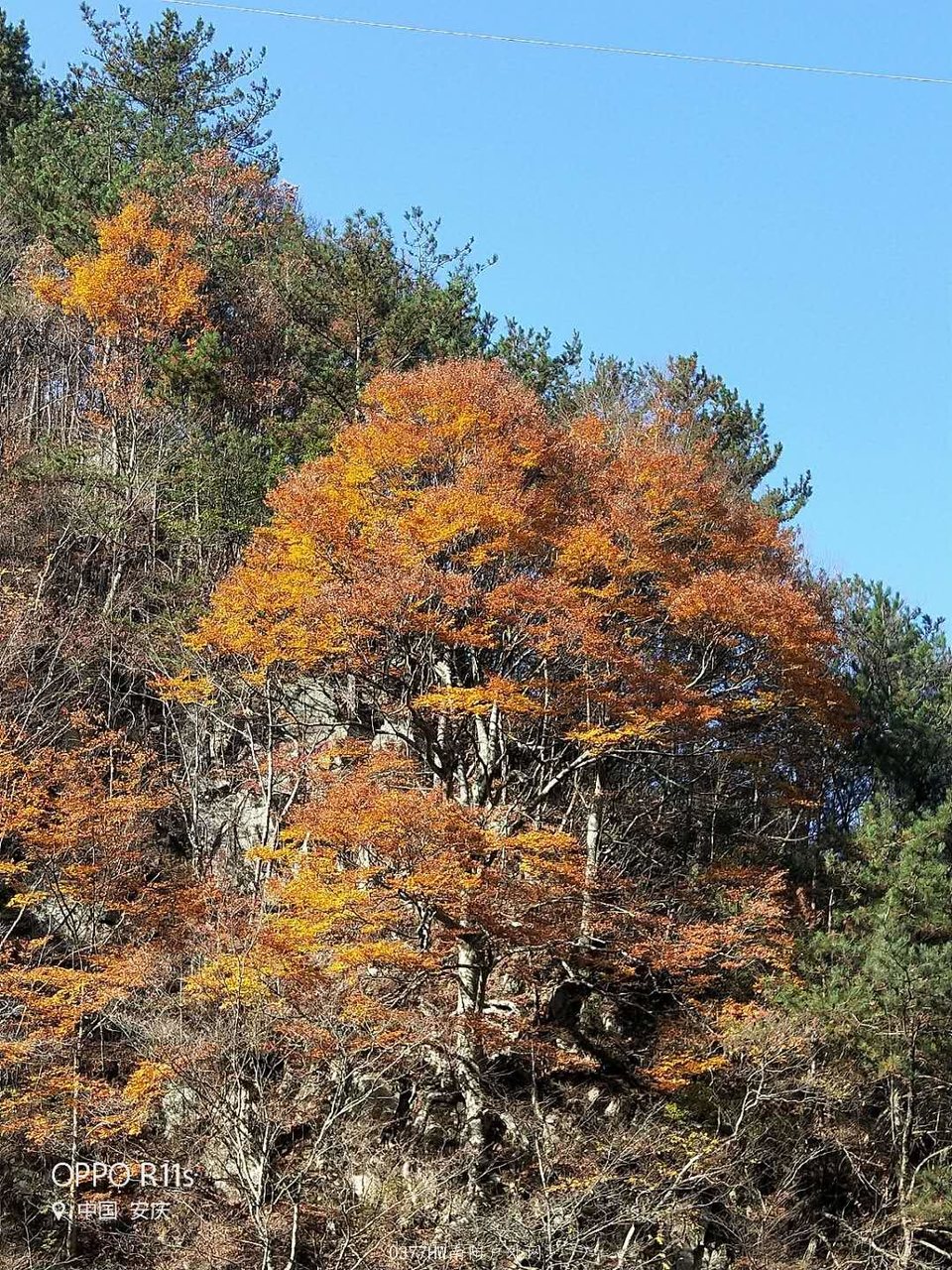 IaEb5oXeqLb24FkvU3bBTICATM2q9pzOlwIA3E1WD8Gserydu-ianjpp4y8SPR_V