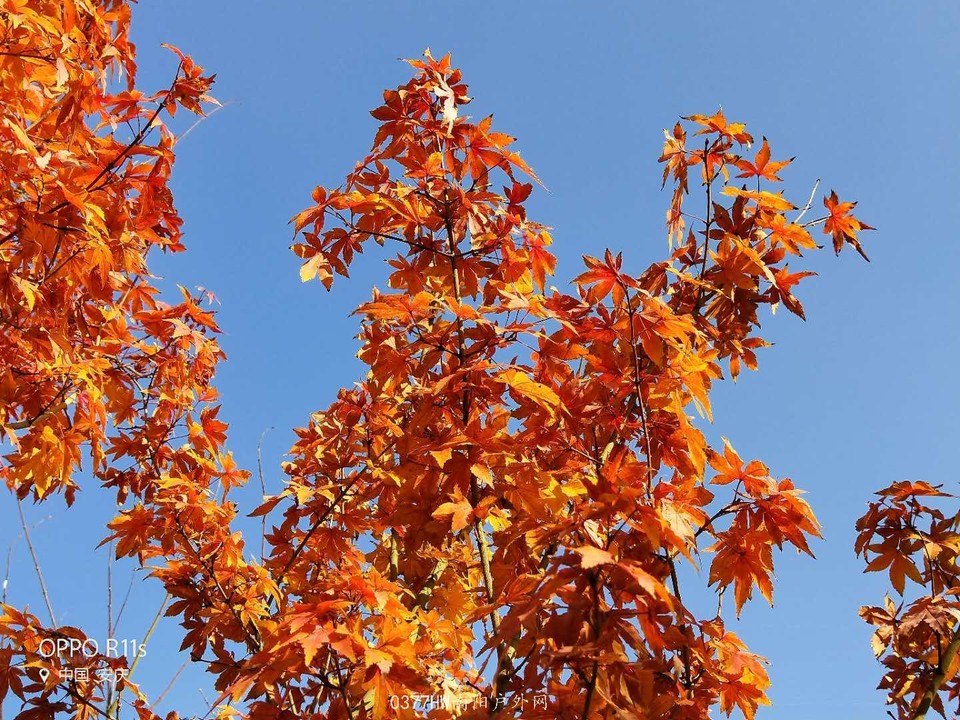 0gMVYXQ9UhejxiUhFX0_R-8z6rE8ROhzyvJZLDO1IPiox8YpewiWNpDBdCK84hZY