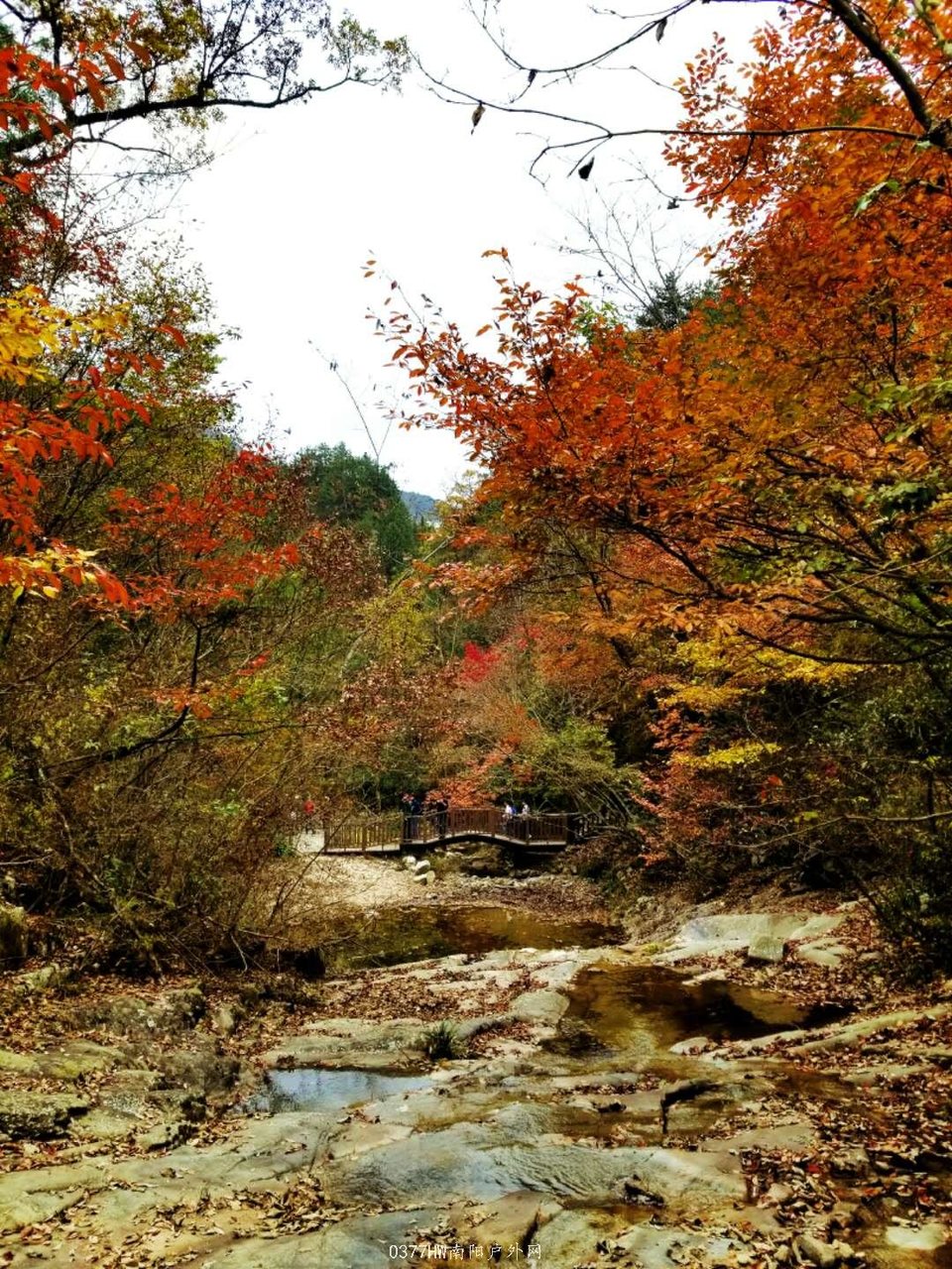 rCnOid90lgzD7qTzGMkPtCPm_3dtbnKLmgCkc484AQJJJ06WLWocvSJ9Z92xxJk-