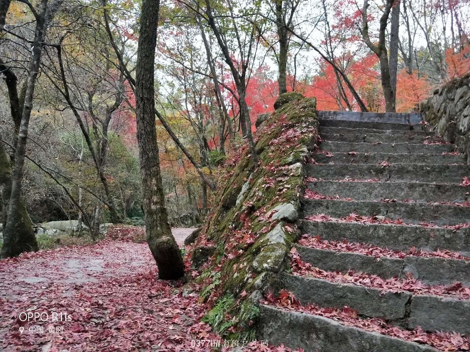 gRN8aPUuNsduWXN0TZToxhcJAuuIMHJ44PItwwwlbtBjOzblCGykvgvNwA22eaL5