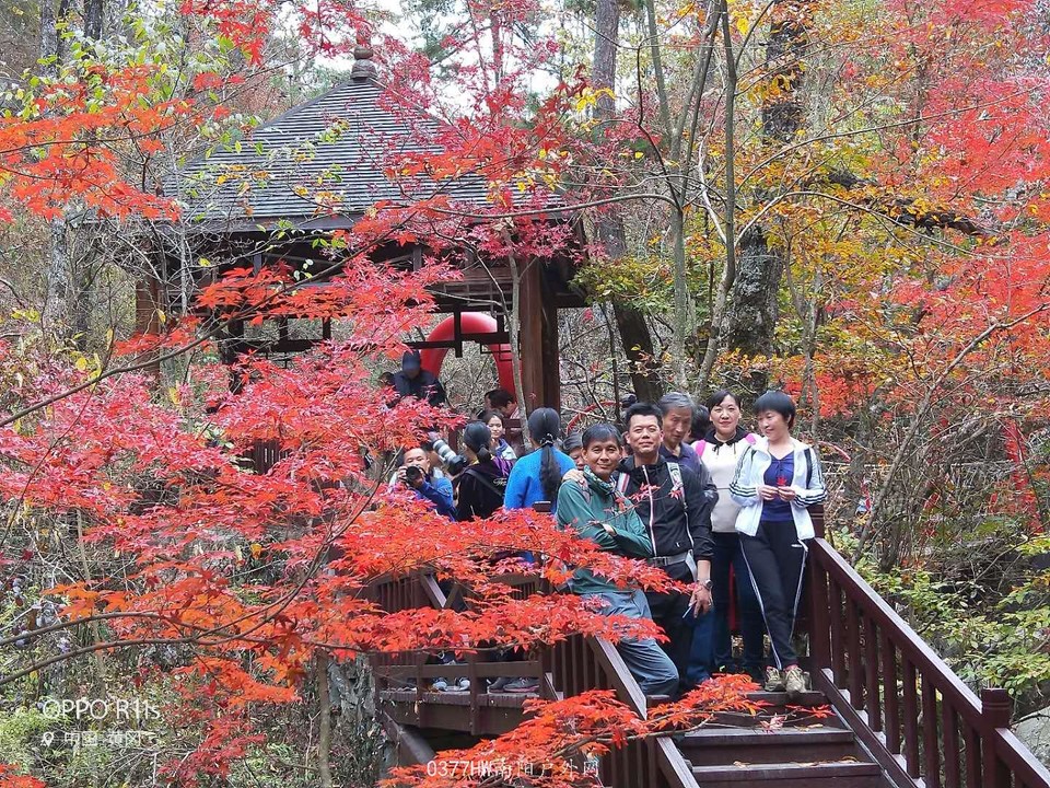 xQOKJtZkJZXV29lh6GNMsCAym2WS9NC9lu1LG46tvpyB7dl5Y_SYlYBdlMUWTMx_