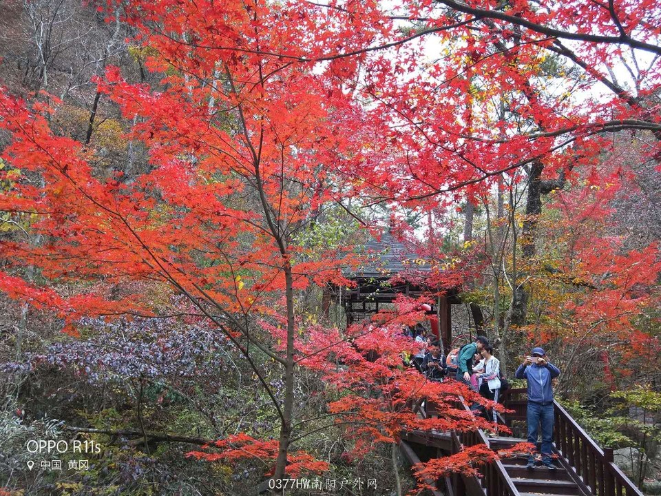 vMLQc-gvzMBcI30thWuBV2R10Ne_upQOpEHgM8KdDINC69zr5OqO5Zx1Y-XOJ0yt