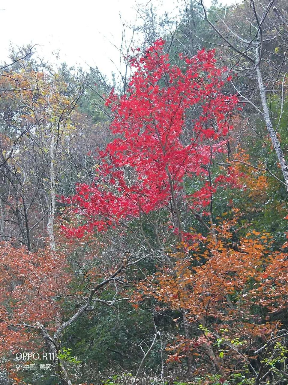 HOtNYDwKkSAv81OoqJhEspULx3p4yr_QG8d7GI0LSf8NV1_zh4hwSz6KQdT-3B4j