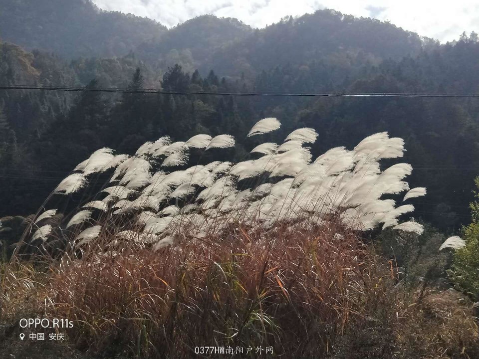 2bpJ53TOvNZhLzUM5iAGXGJYXsZoMSsMyPs_zhYtw3xMZWXmtXfwhIVB1REvmewH