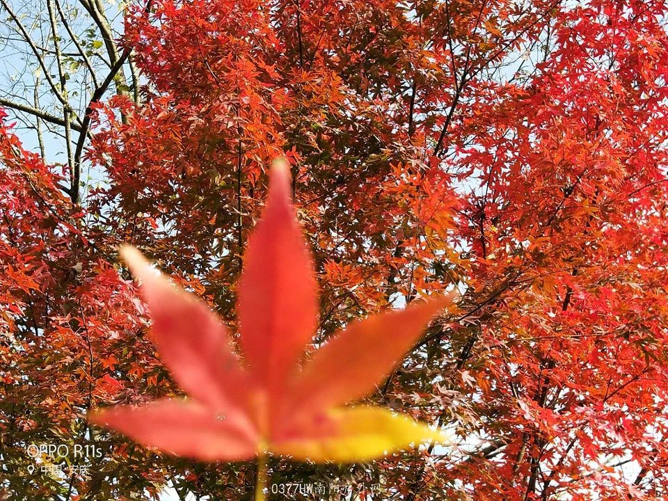 Mv68LgEzy6GeKifpuvCQBamN7txrHMcNMsuxuwblP8mcSeuBSLG6Zb7gK0nuAU_2