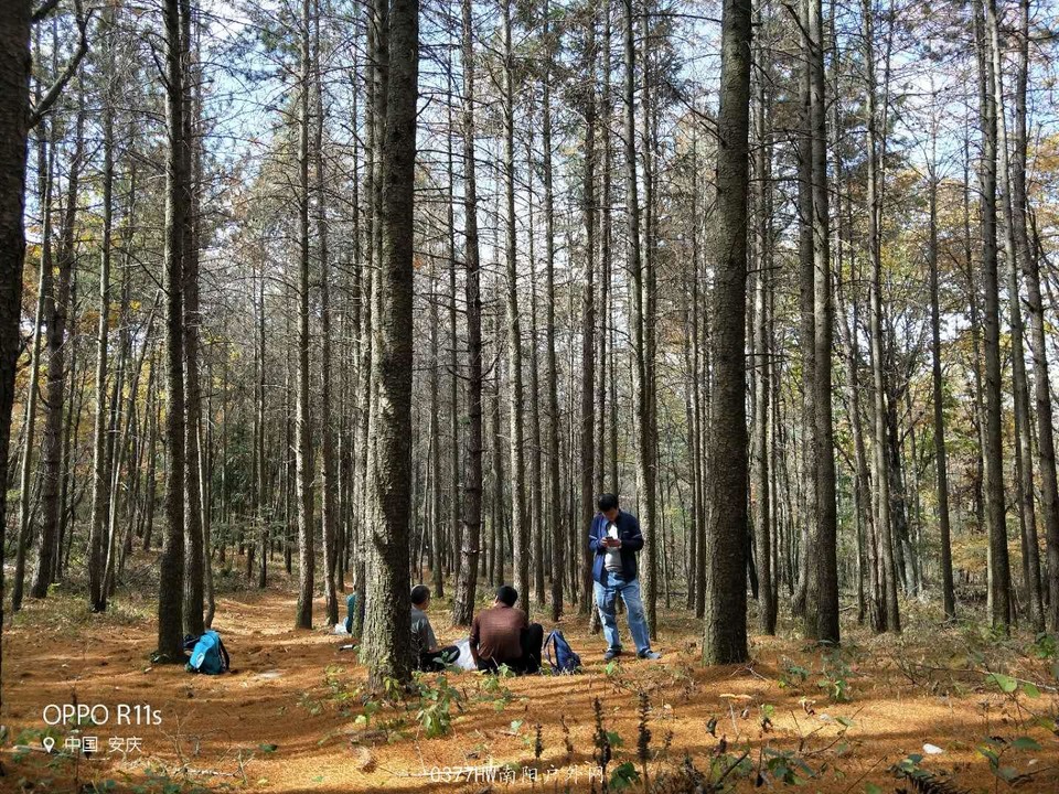 iHAJs7LLZfvUphAEjhi2mfGEv6u-7xuu4CF95iNkMam1u_5w1H5GkB76TX4U3Jty