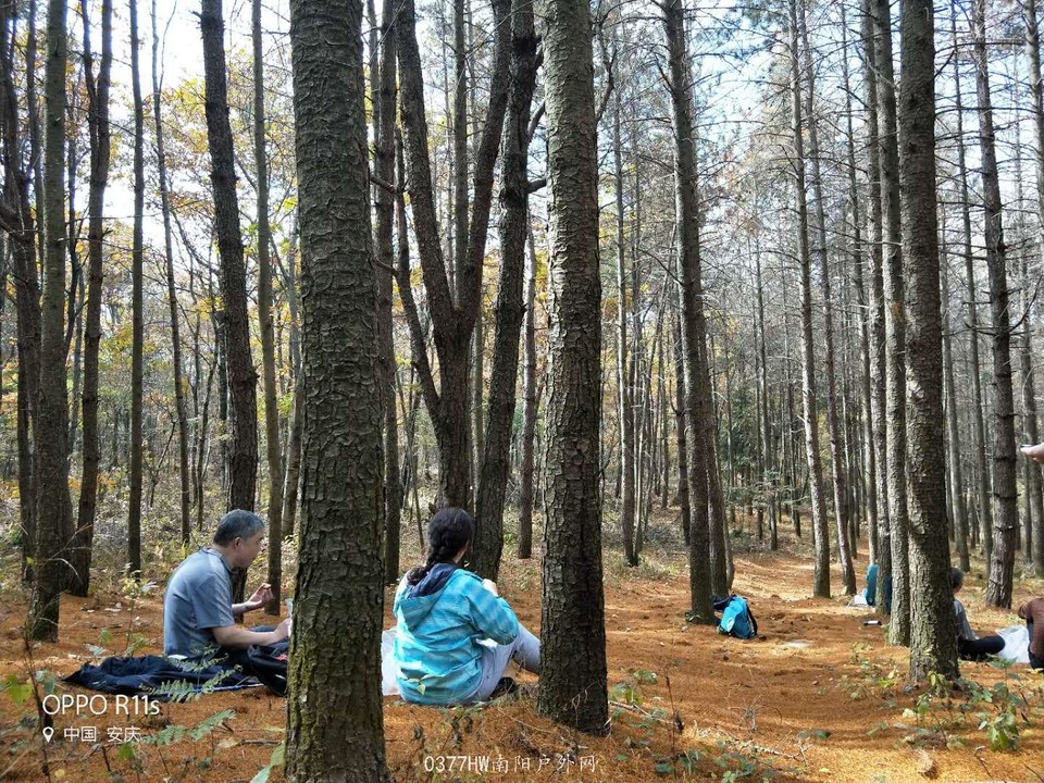 oO3hwDgm3SmjJpplfwzcUiDNfT-N-BqEmURZPq-HbRBQJBm7141d43iwZH6POl_H