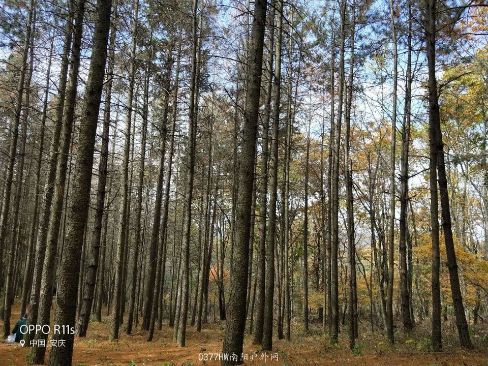 O2502SaPSputdidAvLnq7w1IuA0TN7LmvOlMj4-87Ak3ycb_1261Zgc2jL3PHjUB