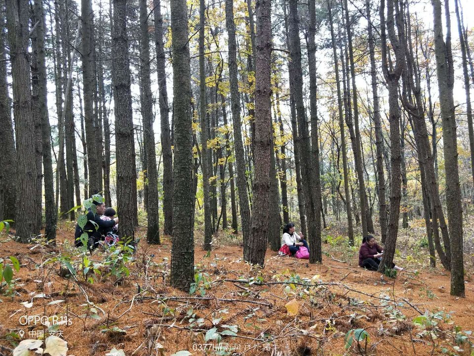 jfIXiVeBbGLOgy4C_CLHIwEqNtf2fpkFjlLDCBebv1LV6_8JhEabzKz7659aSiof