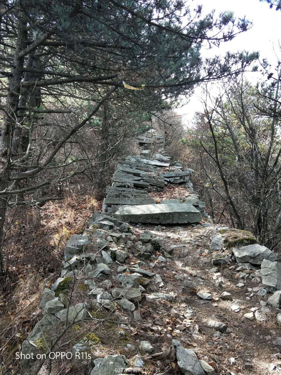 sdVFk-tixf1cg35aVSyUedHOHUiqDN86BWnOyi1d_fC-3PVX92wHv_b5-ebW0Gsh