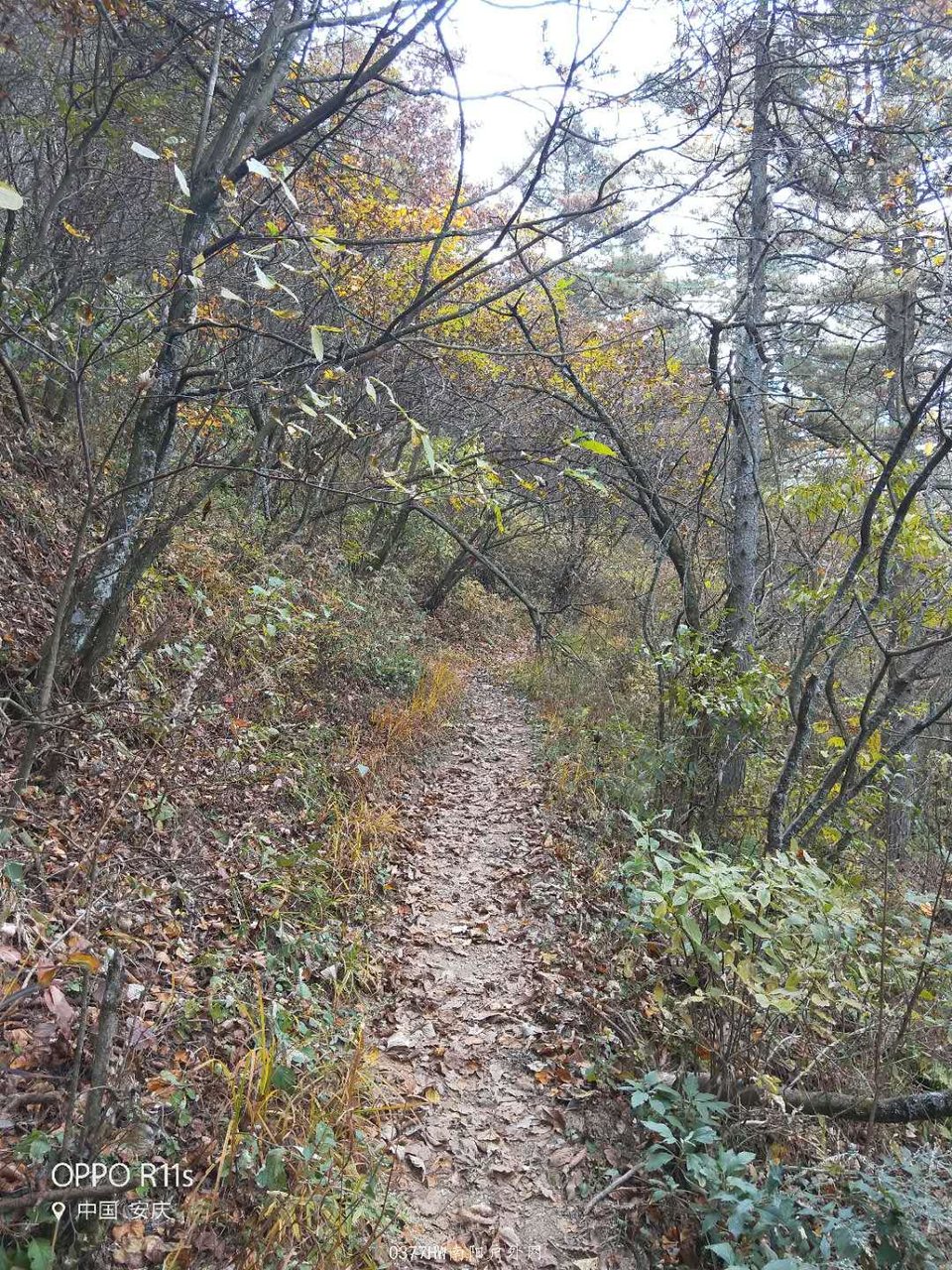 khScBKknjW8PE8rPp4EAJvQqM9XZXCywB47jFHy_FHIe1C1B_puoL1zj5dAXlaqg