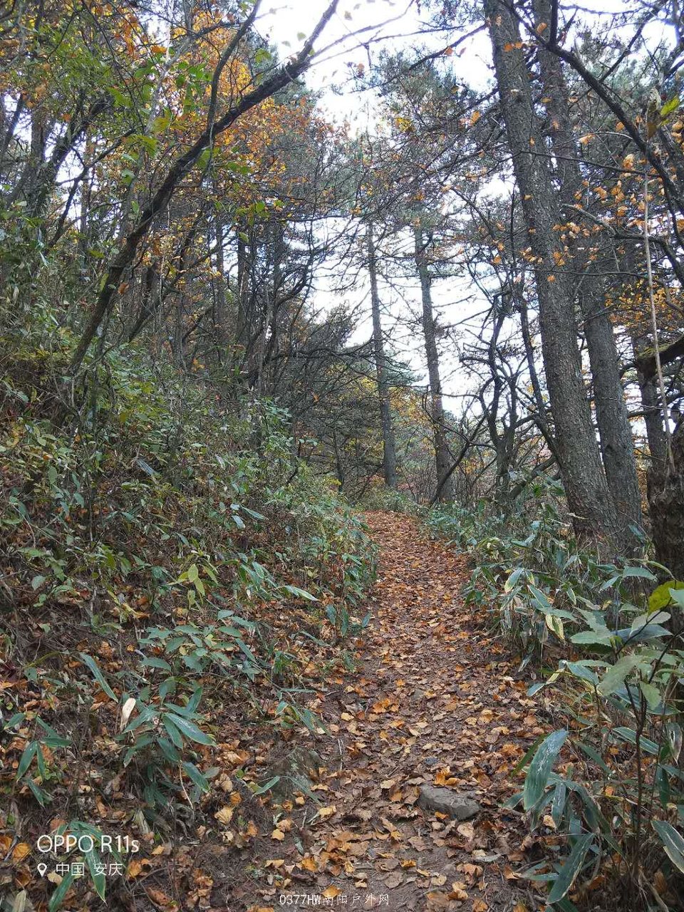 bsztP24YTs5whzMQSfhgx15M7NwGz4GuGR80kLAhLrwbW_2AoNlEmuI4mXpMSOE7