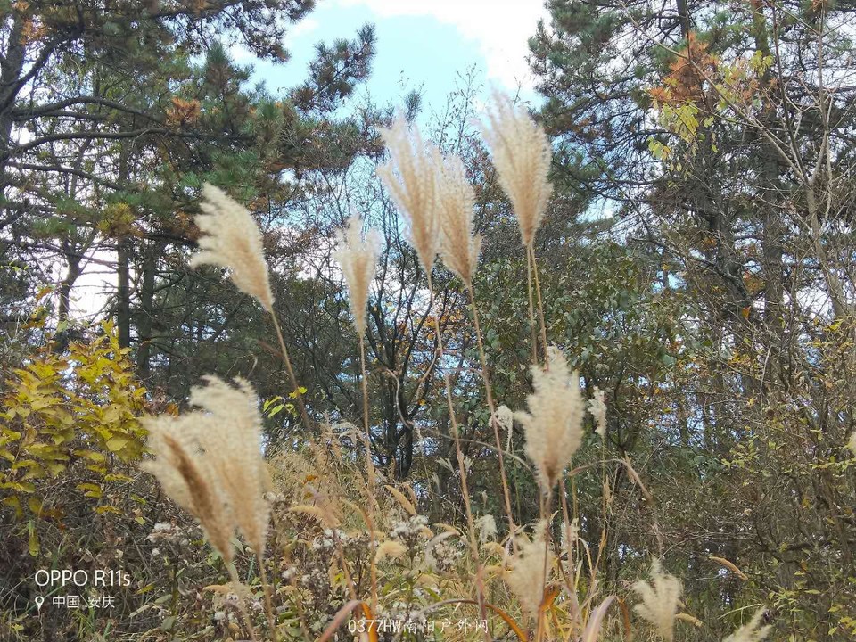 MDBW2LTLZaWkUeF52XPEfgAx-wu70JzfvKQO1pt0WDiUST7KsskEOphq6S8BnnAG