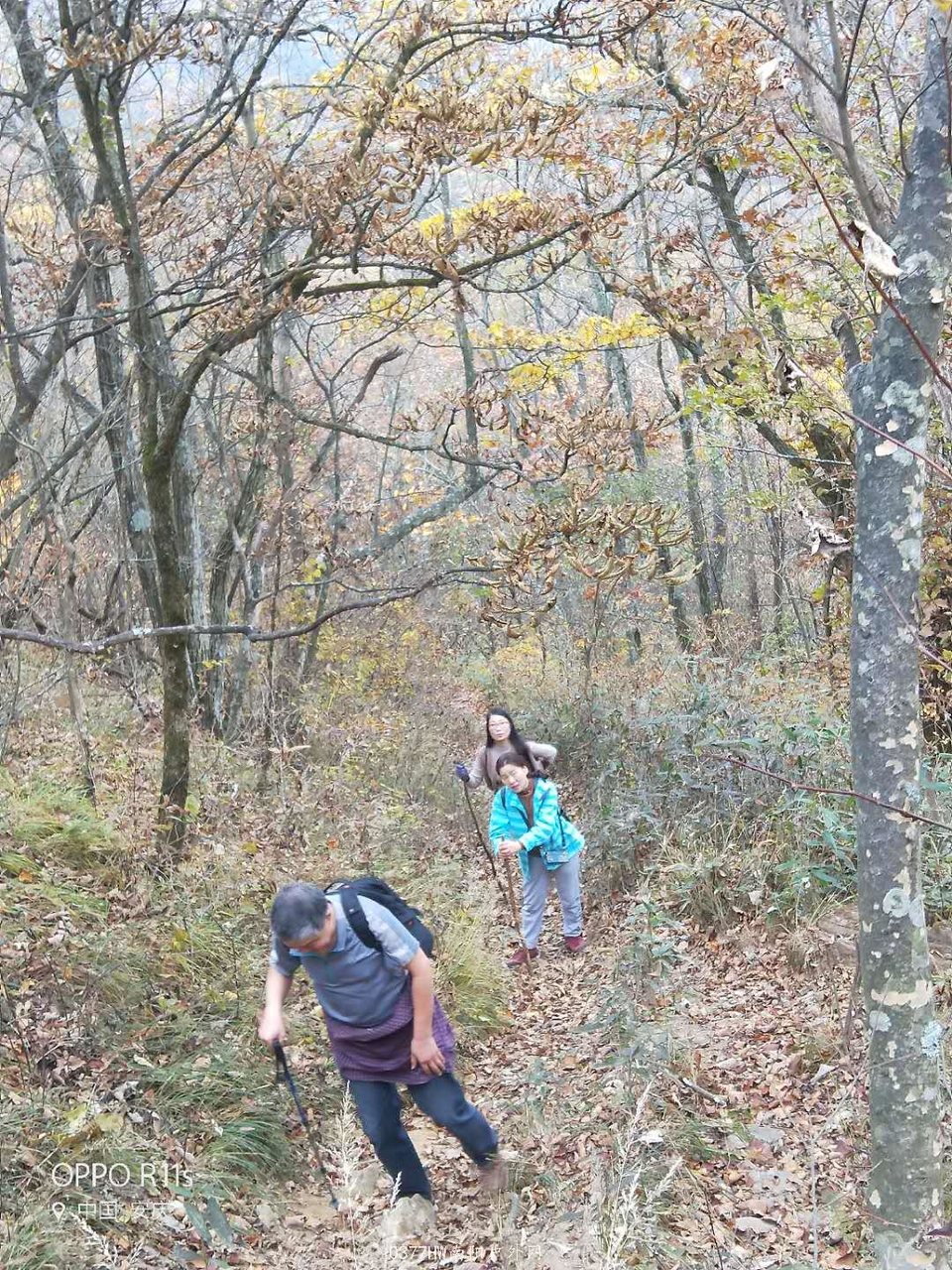 Kcnsm1bafhwORpgWr6Q66QhTjpdr1cakf0FgjRONDxT4lmoxT7ytY6uP01k9co_e