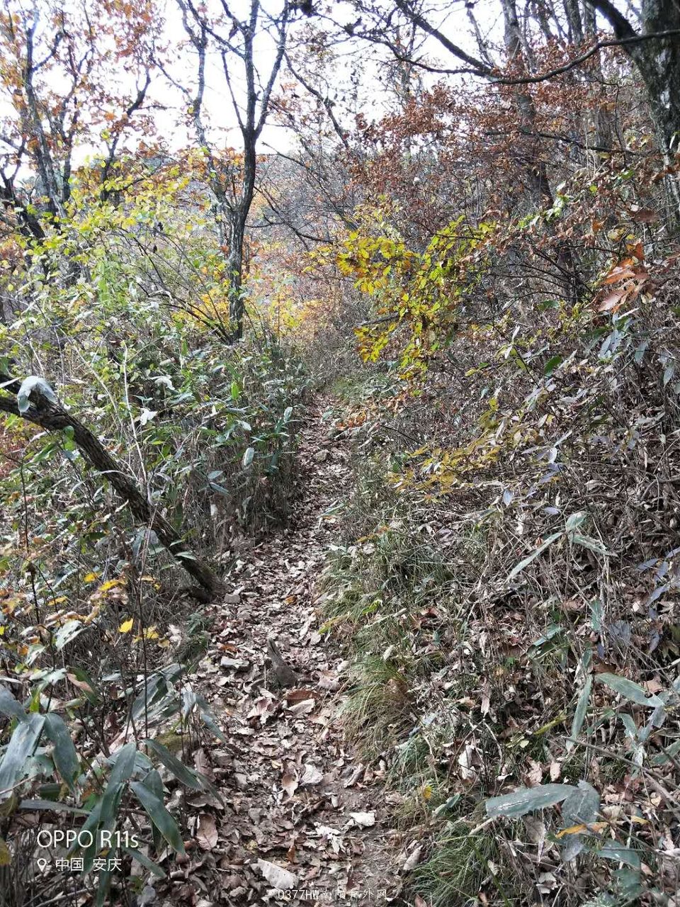 2mClrLQlSwIr1cLZzoEmxADspZtEnUsIsd0jRbcYJBOMy9orzoP0nrmnXTmp1Jlm