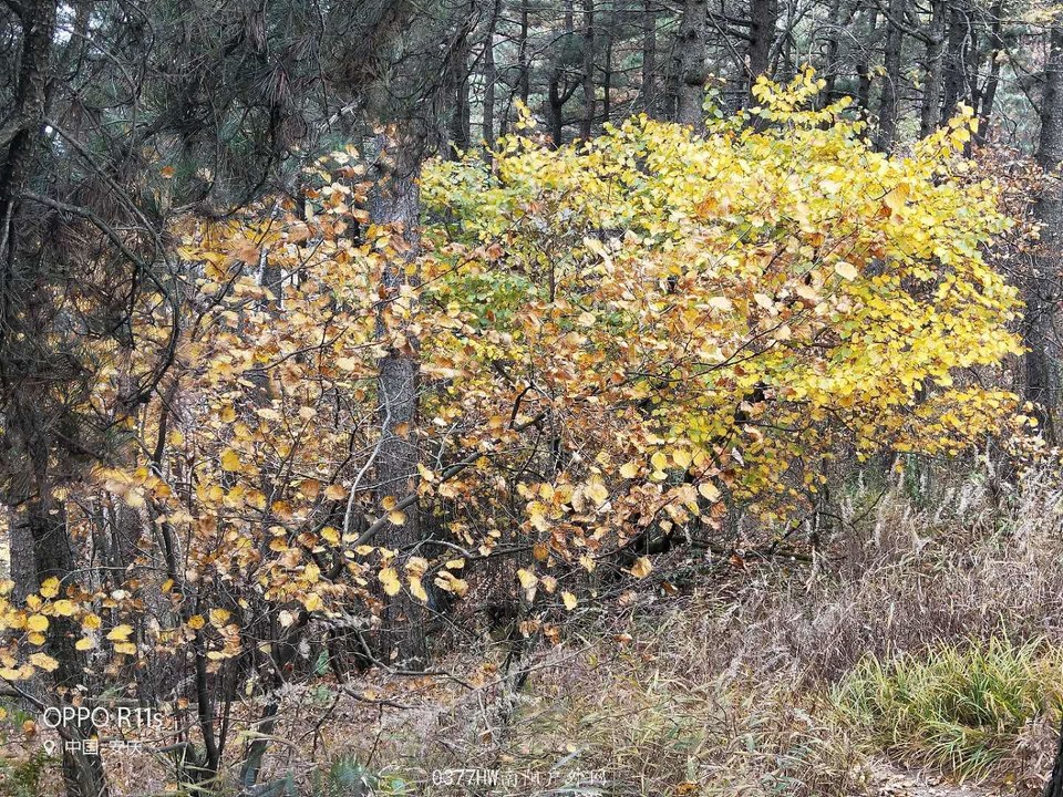 w9g8qNN6O5jQzNvHxndET5GitnFd4F7egzIUYqDee7wNkhawrIAcgvVEGKFTqnLe