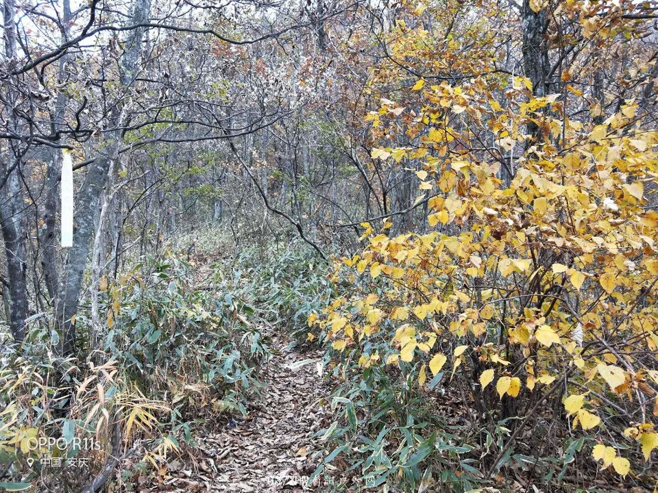 GZcIg1mM3NA18MVwS5agtofBJgu8NHZWaSniStlI3wArMugnVmE8H2VuoQPtLcoS